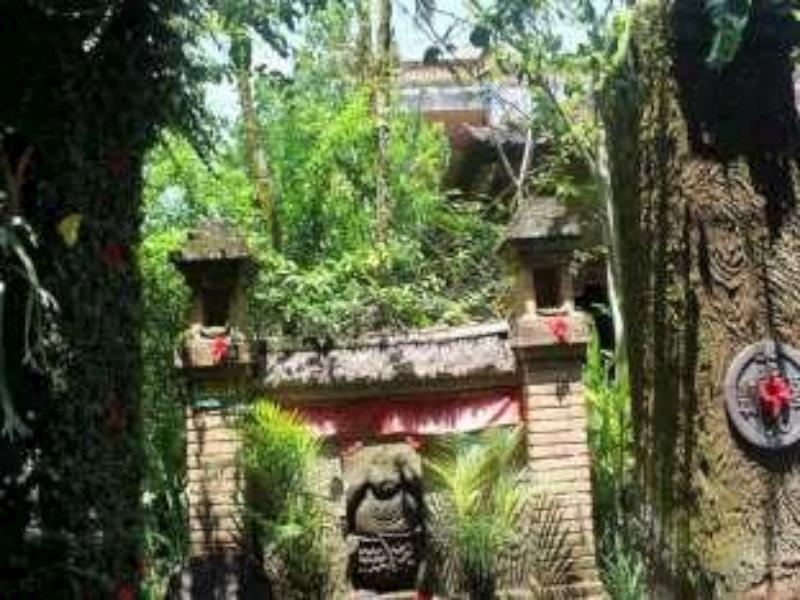 Mandia Bungalows Ubud Dış mekan fotoğraf